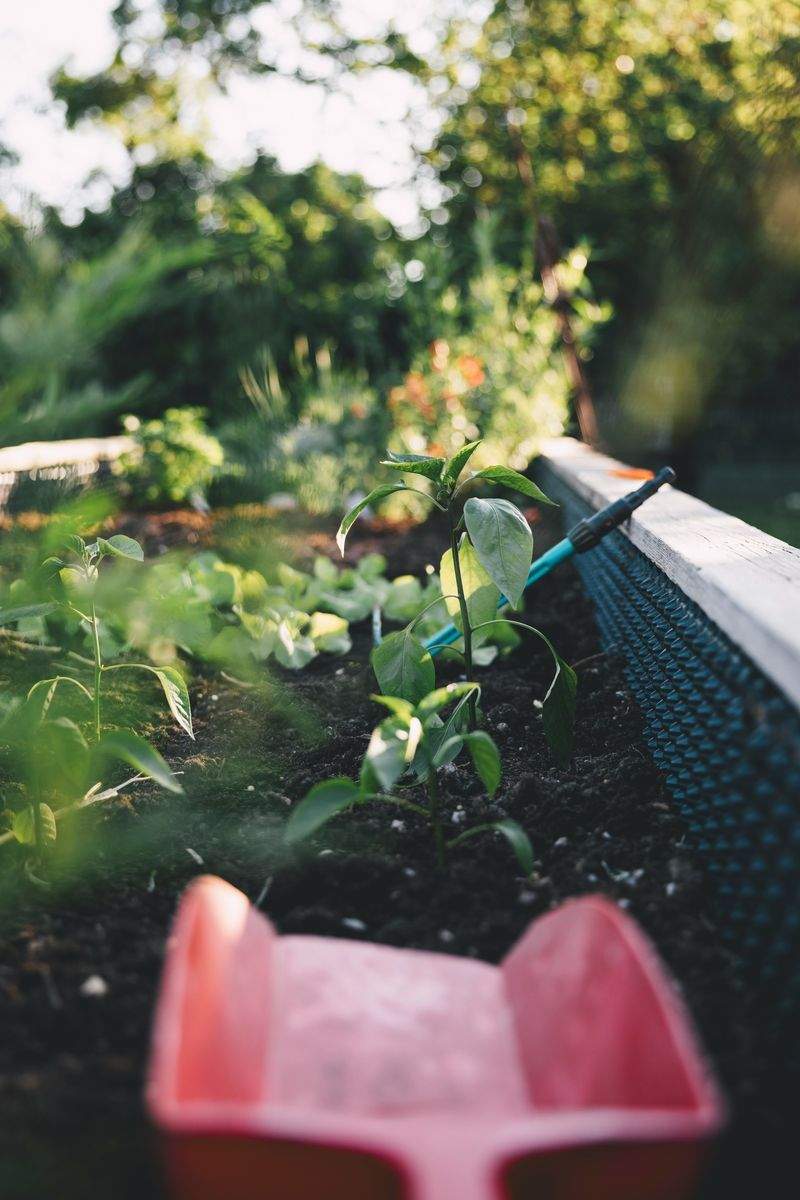Flux de travail illustratif de rafraîchissement du jardin pour une propriété résidentielle