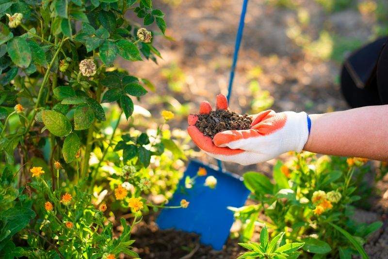 Débroussaillage et nettoyage de terrain